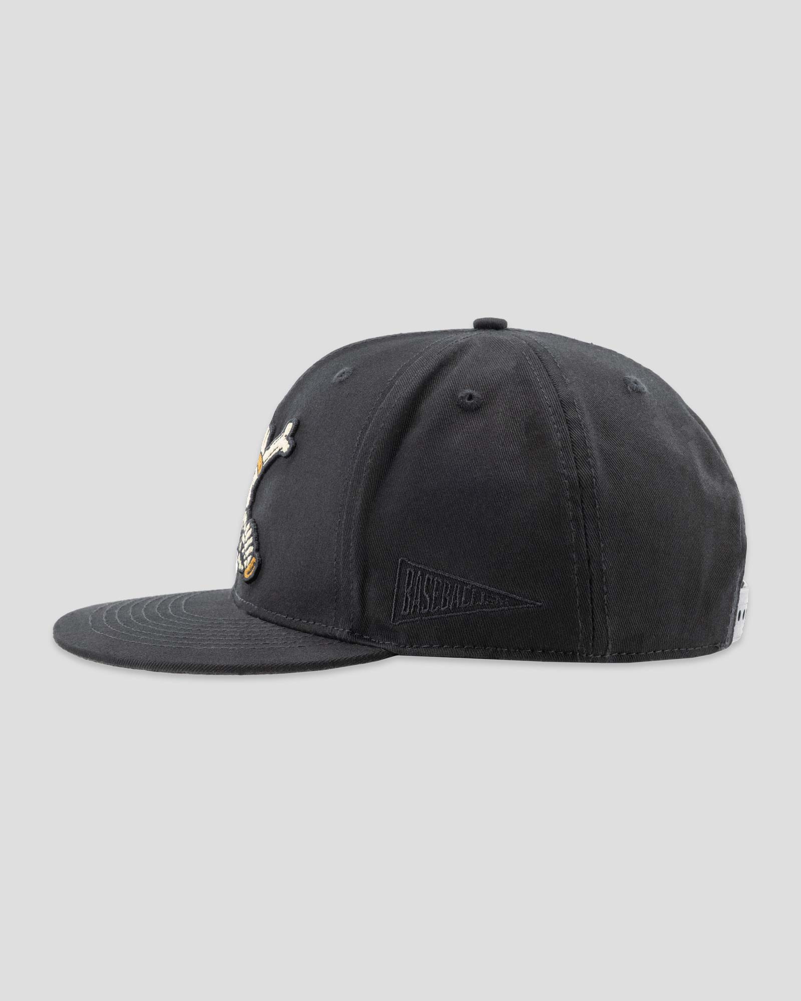 Sticks and Stones Cap