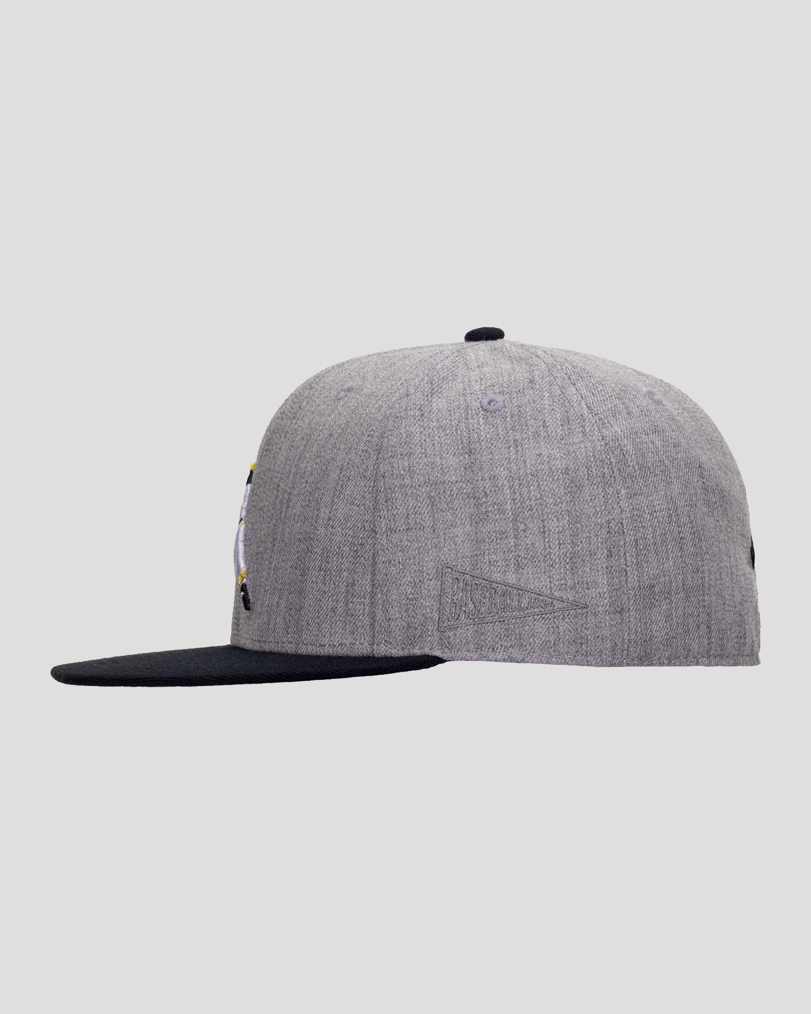 Clemente Swinging Flag Cap