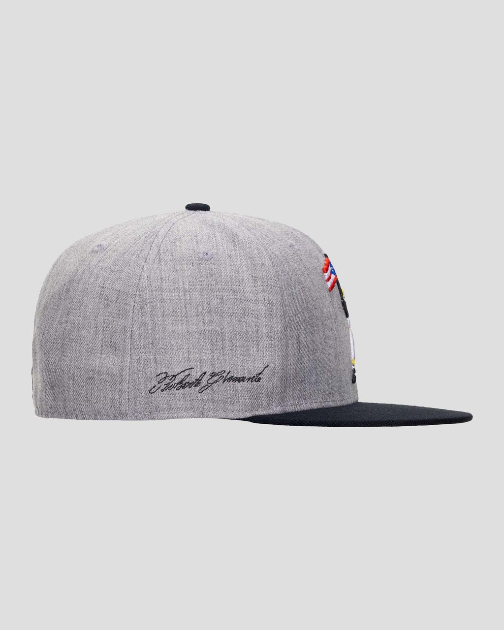 Clemente Swinging Flag Cap